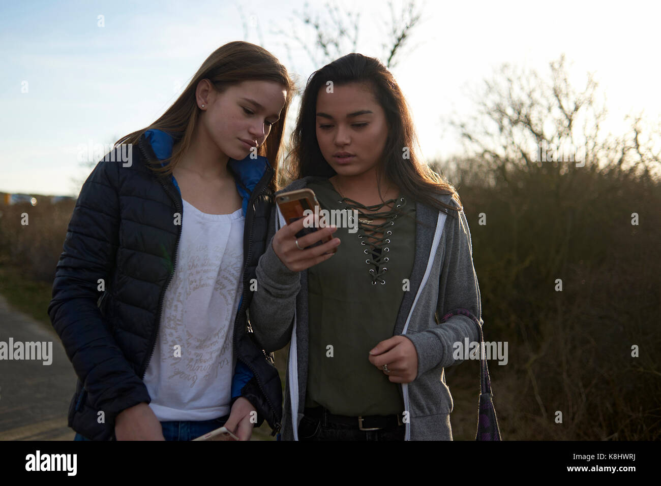 Weibliche Freunde auf der Suche nach Smart Phone beim Stehen auf Feld Stockfoto