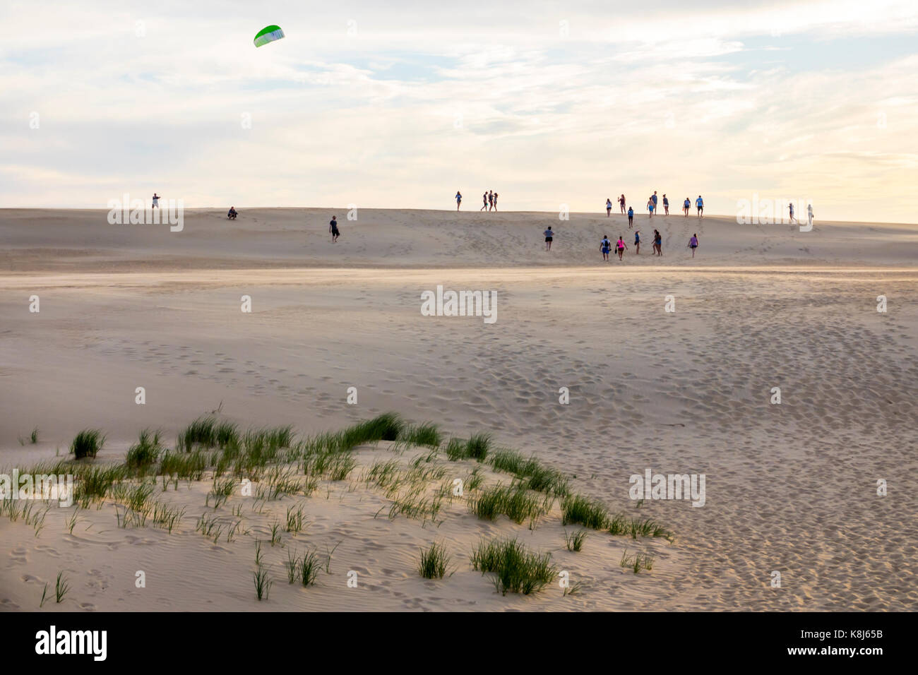 North Carolina, North Carolina, North Carolina, Outer Banks, Cape Hatteras National Seashore, Jockey's Ridge State Park, lebende Sanddüne, Kite, NC170518159 Stockfoto