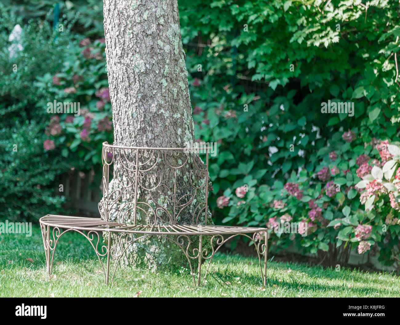 Metall Bank um eine ausgereifte Baum an einem Sommertag in Eastern Long Island, NY Stockfoto
