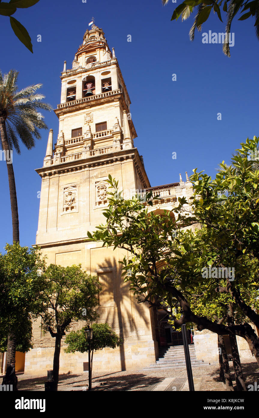 Turm von Mezquita - Kathedrale in Cordoba von Bäumen des Orangengartens umgeben Stockfoto