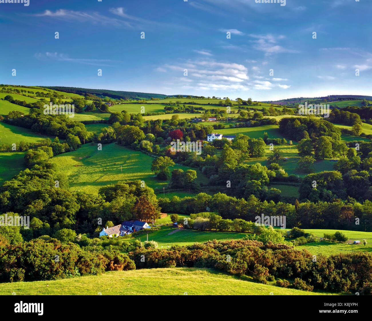 Eine späte Sommer Aussicht über die hügelige Landschaft von Clwyd, North Wales. Stockfoto