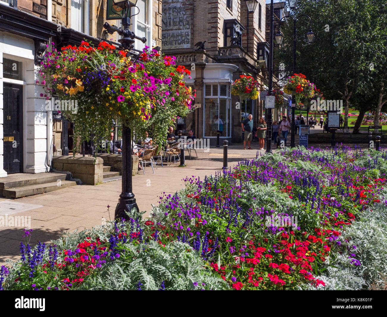 Sommer Blumen im belebten Viertel Montpellier in Harrogate, North Yorkshire England Stockfoto