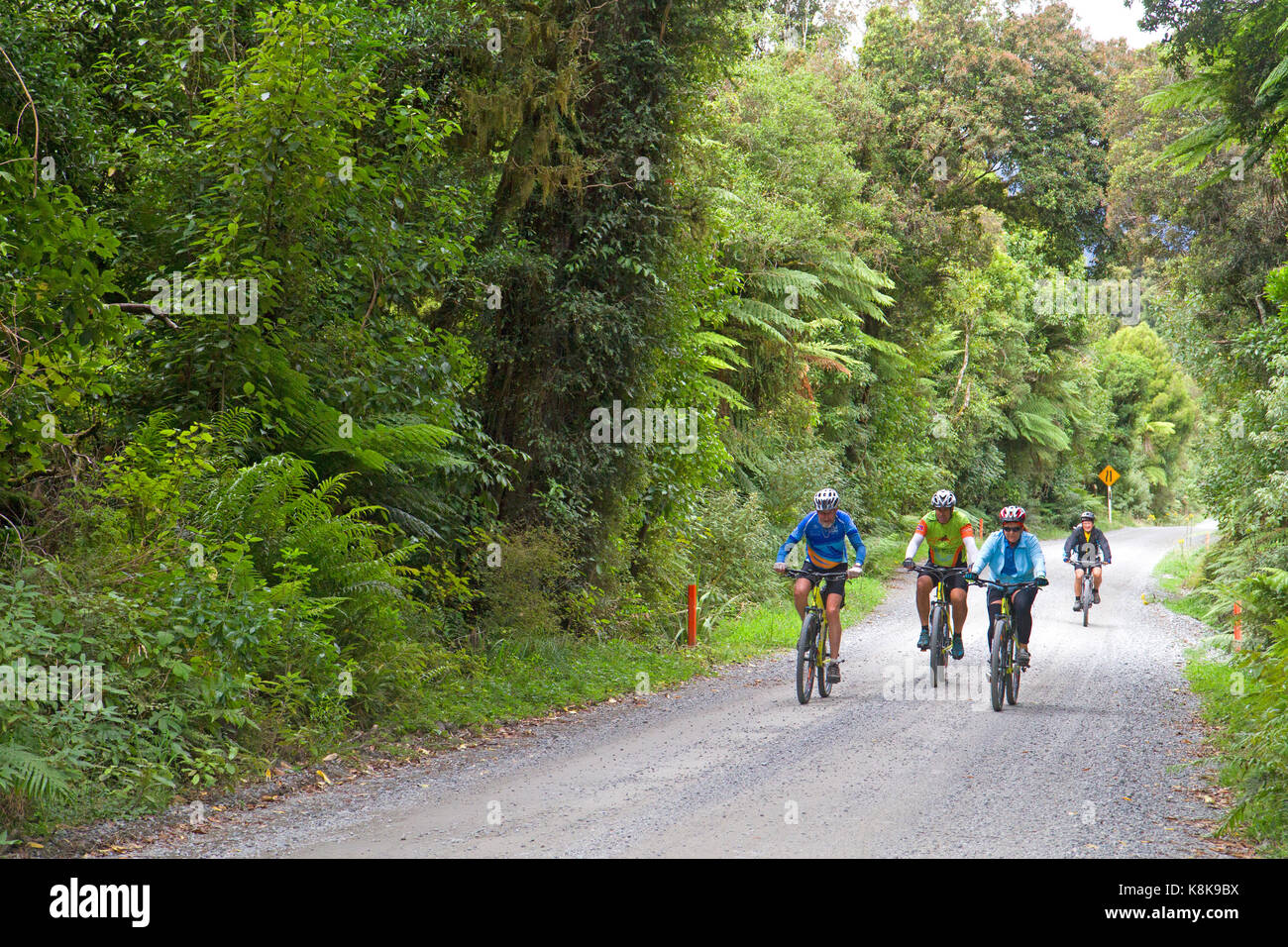 Radfahrer in der Nähe von Lake Brunner an der Westküste der Südinsel Neuseelands Stockfoto