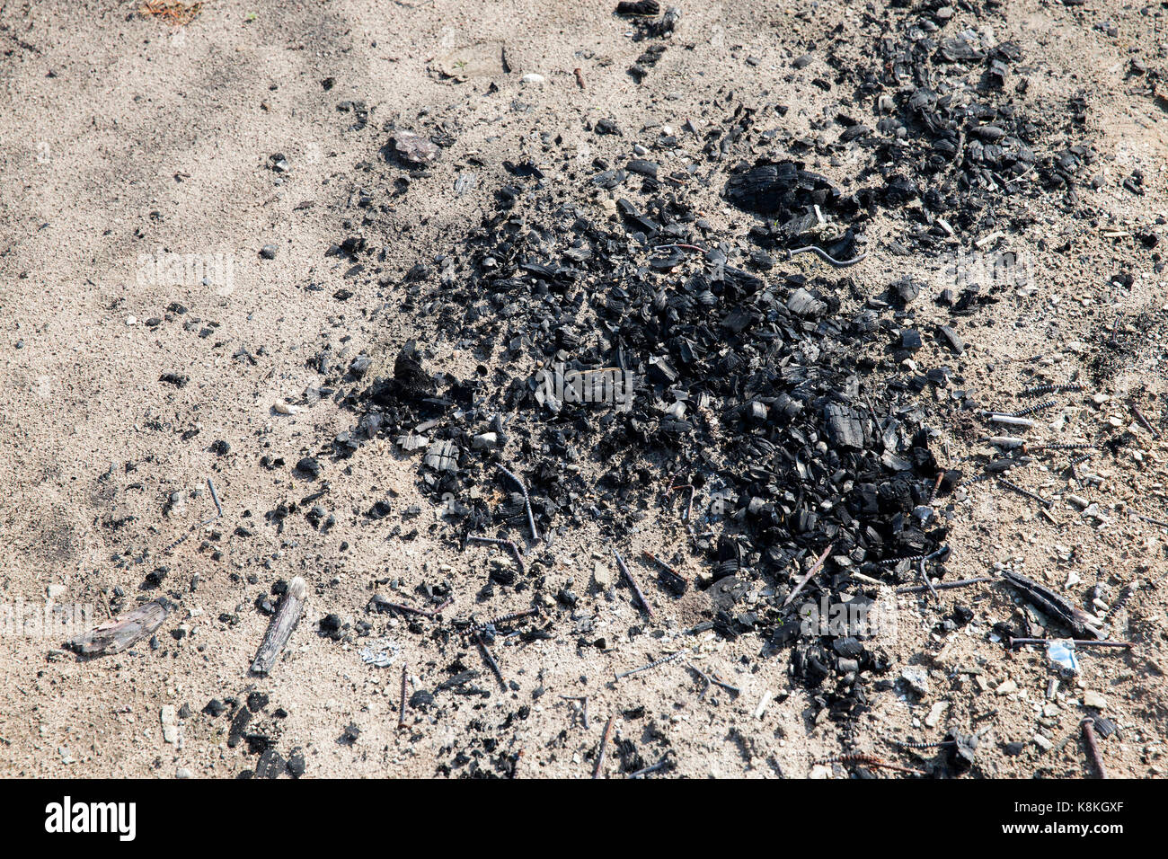 Schwarze Kohlen von verbrannten Baumstämmen. Foto close up Stockfoto