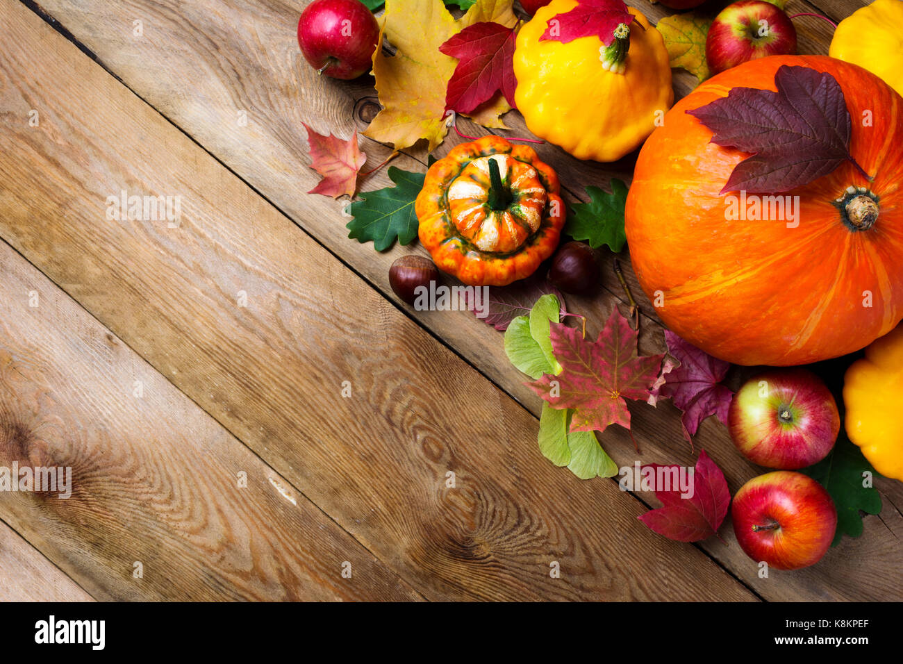 Herbst Kürbisse und gelben Kürbis mit bunten Blättern, kopieren. Thanksgiving oder fallen Gruß Hintergrund Stockfoto