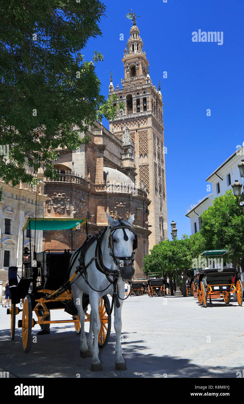 Die Kathedrale von Sevilla und Kutschen, Spanien Stockfoto