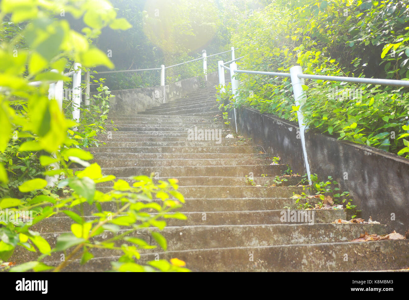 Eine leere Treppe Stockfoto