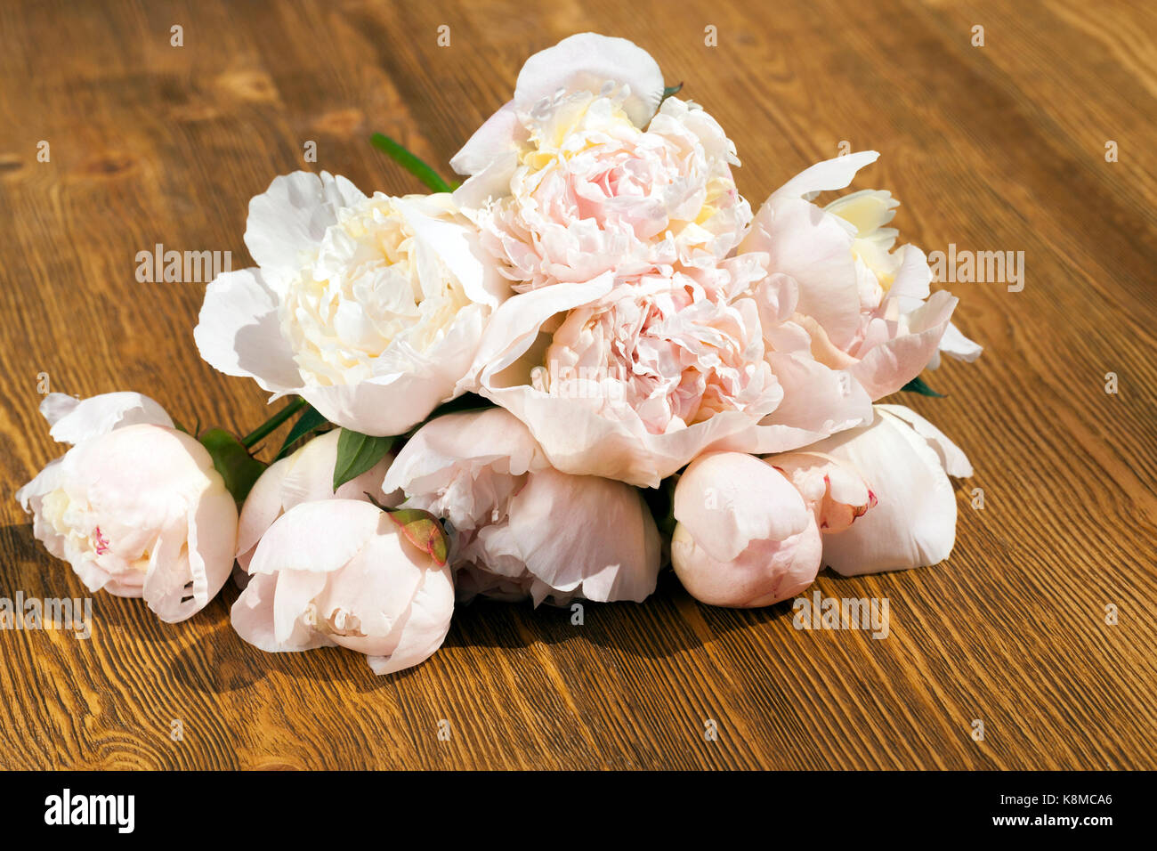 Ein Blumenstrauß der Feder Pfingstrosen, liegend auf einer Holz-  Oberfläche. Foto close up Stockfotografie - Alamy