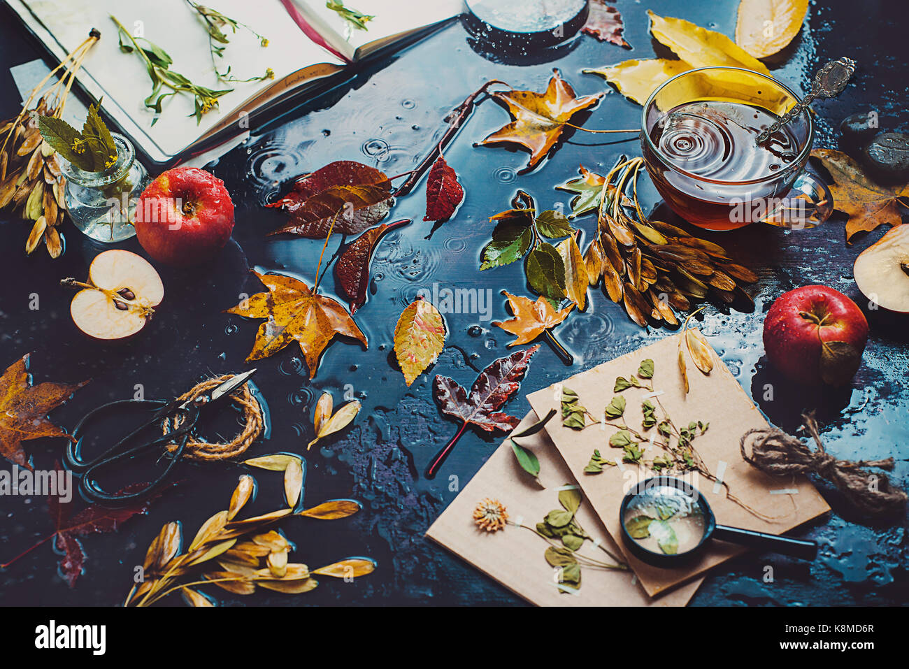 Tabelle mit Tee Tasse, Herbstblätter, Äpfel und eine offene Notebook mit Kräutern. Stockfoto