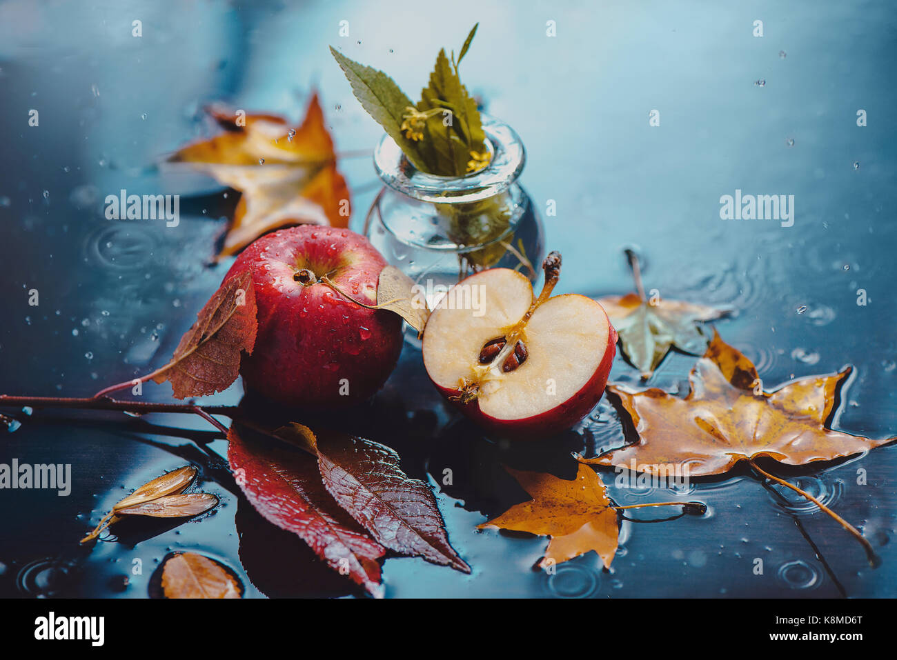 Herbst rot applesunder Regen auf einem nassen Tabelle in der Hintergrundbeleuchtung Stockfoto