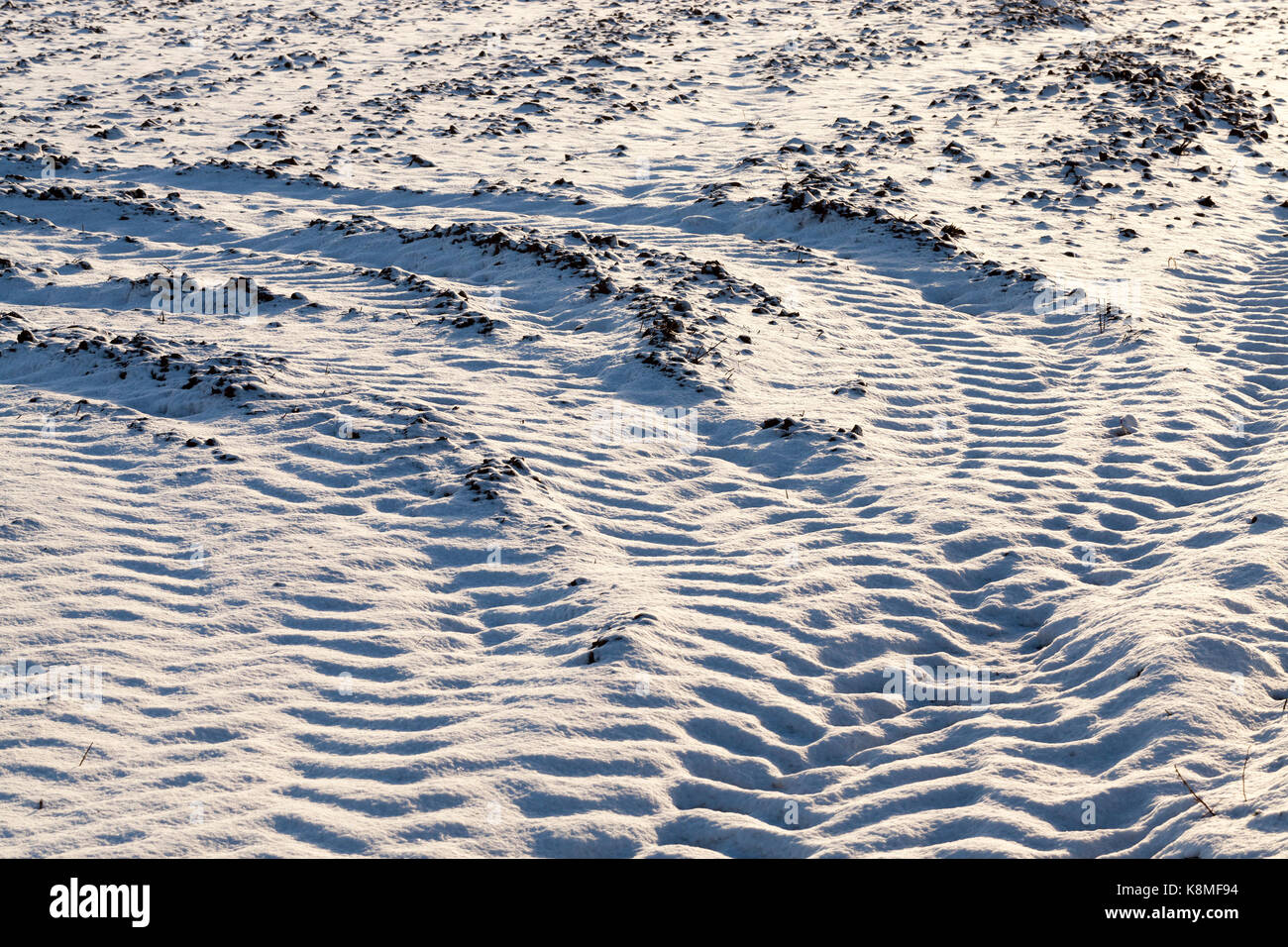 Die gepflügte Erde - Tracks von den Rädern, das Auto auf der schneebedeckten Grobe gepflügten Land im landwirtschaftlichen Bereich. In der Nähe fotografiert. Stockfoto