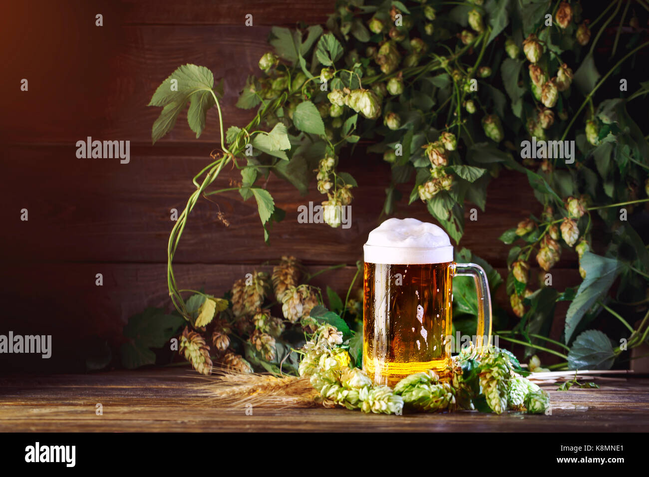 Ein Glas frisches Bier auf einer hölzernen Tisch. Stockfoto