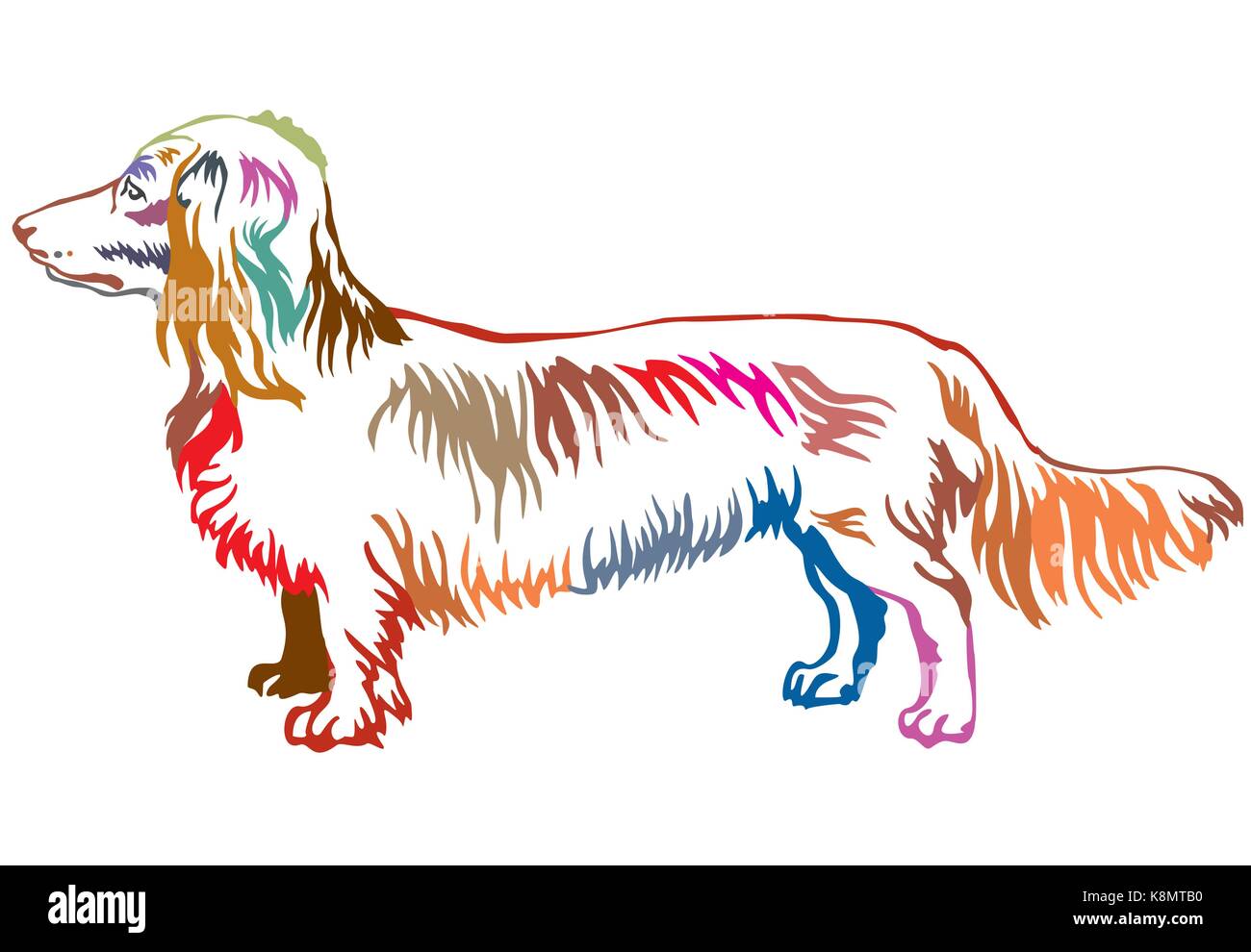 Bunte Kontur dekorative Portrait von ständigen im Profil Hund langhaarigen Dackel, Vektor isoliert Abbildung auf weißem Hintergrund Stock Vektor