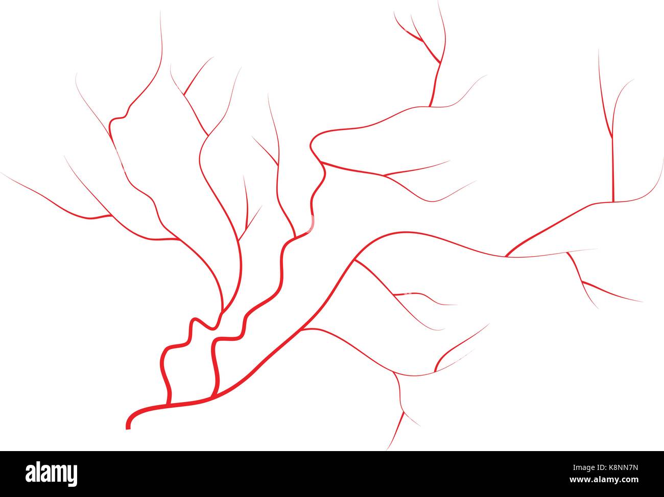 Auge Venen, menschliche rote Blutgefäße, Blut. Vector Illustration auf weißem Hintergrund Stock Vektor