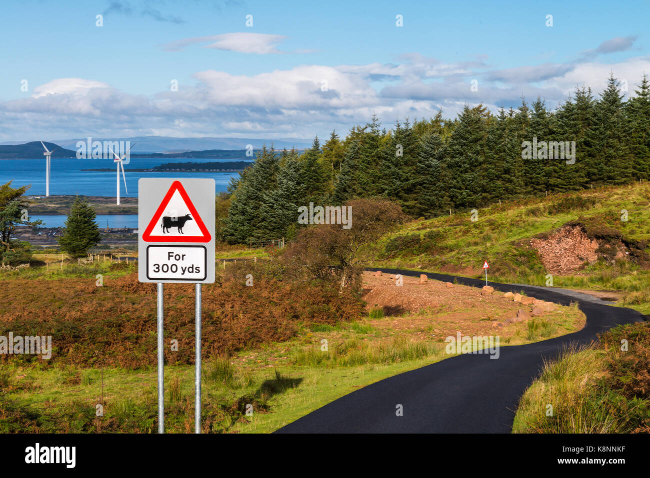 Erweiterte Warnzeichen für Kühe über 300 Yards, eine kurvige Landstraße neu geteert & Windenergieanlagen auf ther Clyde. Landwirtschaft, Straßen-, Forst- und Erneuern Stockfoto