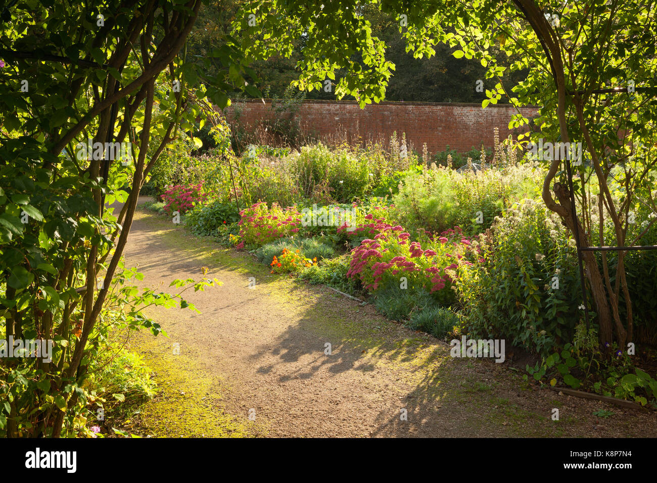 Normanby, UK. 19 Sep, 2017. de Wetter: sonnig und noch am Nachmittag in der Ummauerten Küche Garten normanby Hall Country Park. normanby, scunthorpe Stockfoto