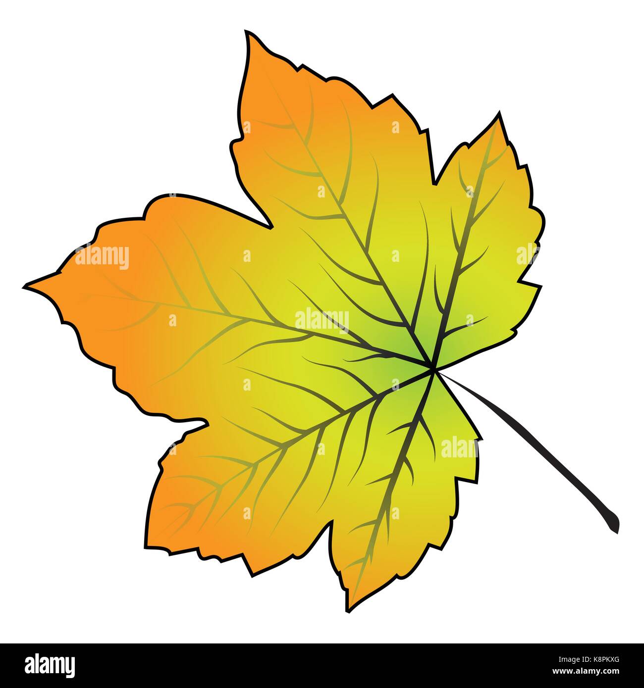 Bild von Cartoon maple leaf. Vector Illustration auf weißem Hintergrund. Stock Vektor