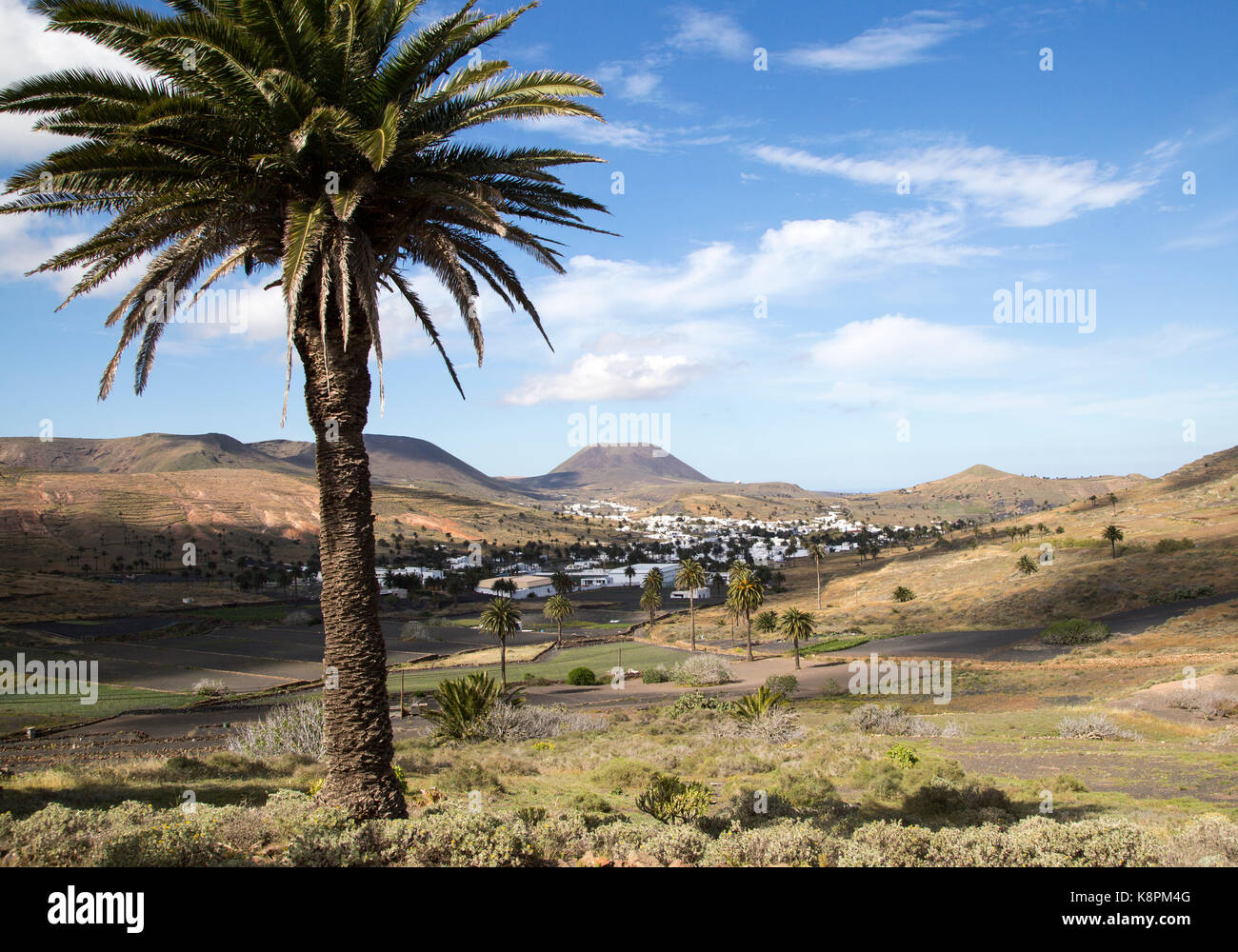 Blick über Kakteen und weiß getünchten Häusern, Monte Corona Vulkan Kegel, Dorf Haria, Lanzarote, Kanarische Inseln, Spanien Stockfoto