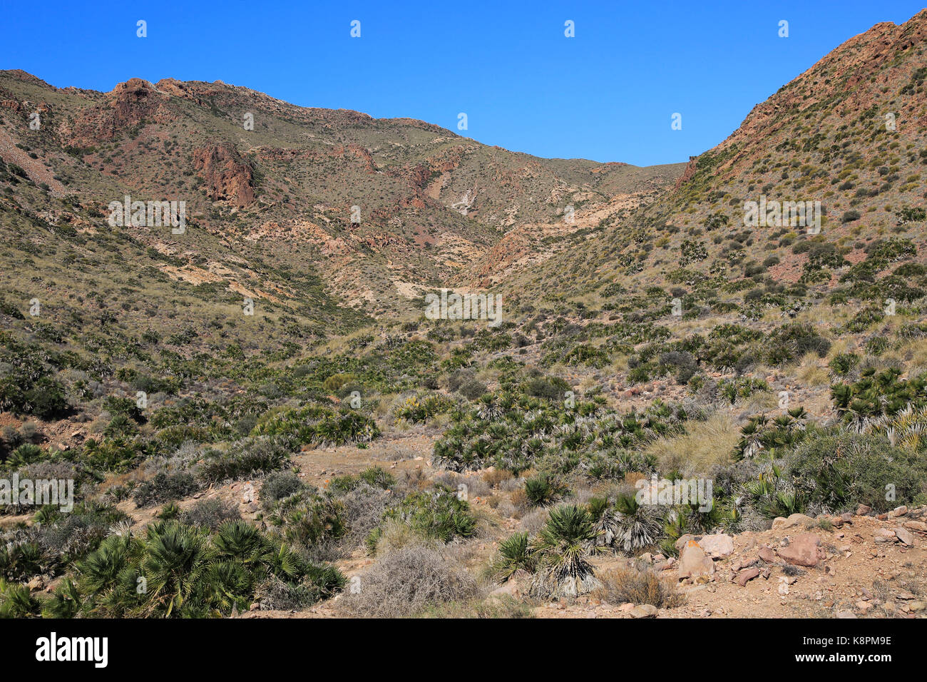 Cabo de Gata Nationalpark, Mónsul, in der Nähe von San José, Almeria, Spanien Stockfoto