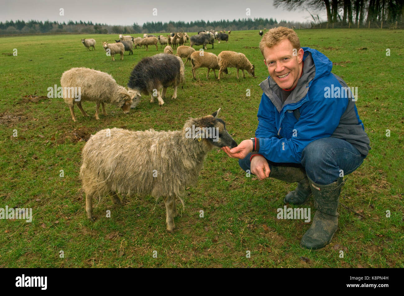 Cotswolds Farm Park, mit Eigentümer Adam Henson, der ein Bauer, Autor und Fernsehmoderator. Stockfoto
