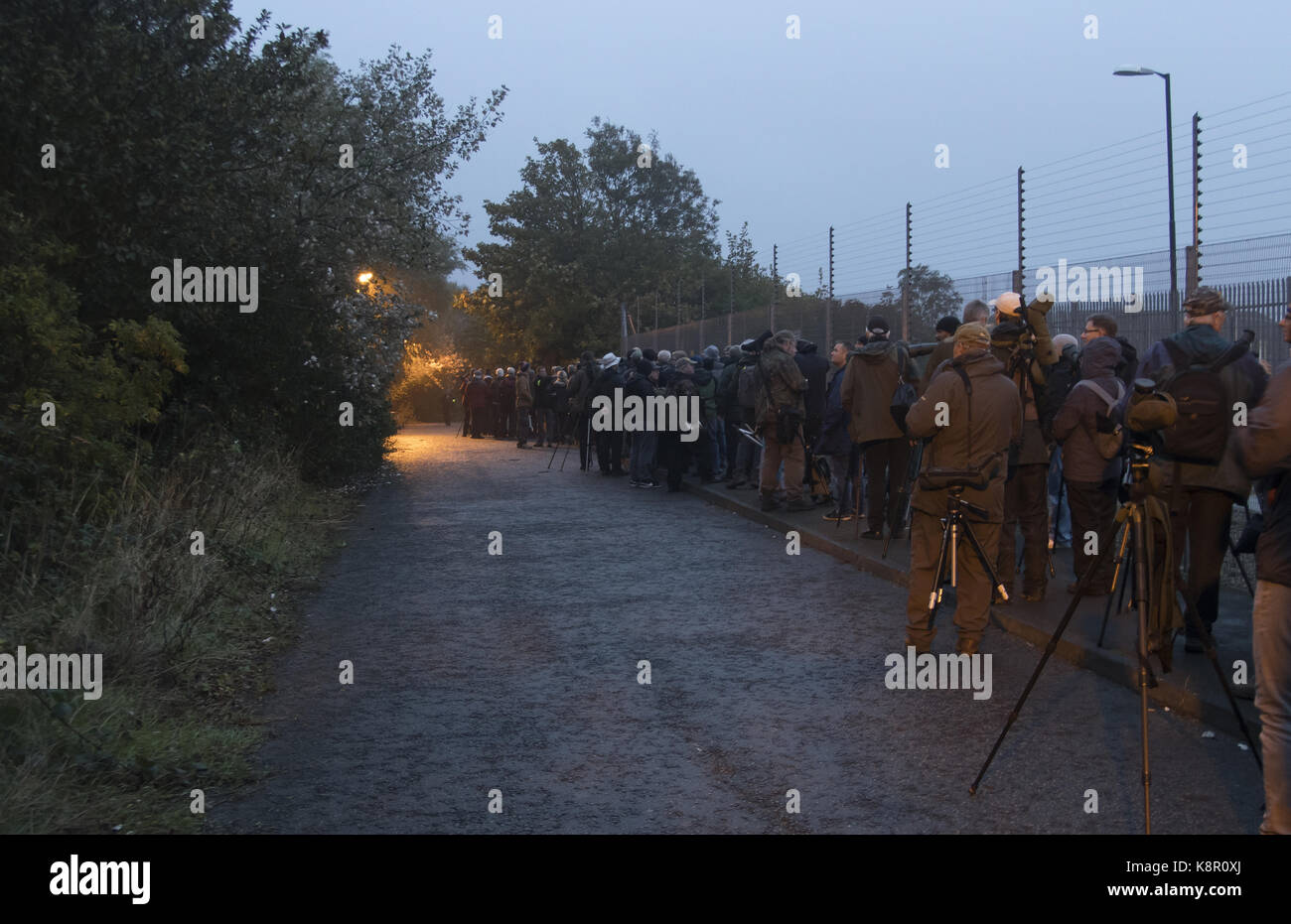 Vogelbeobachter in Easington, Yorkshire, Queue in der Morgendämmerung zu sehen Siberian Accentor 2016 Stockfoto