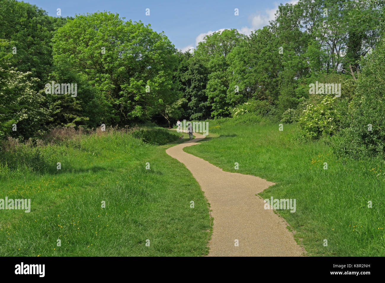 Durch Naturschutzgebiet Alexandra Park, Wald Grün, Haringey, London Mai Stockfoto