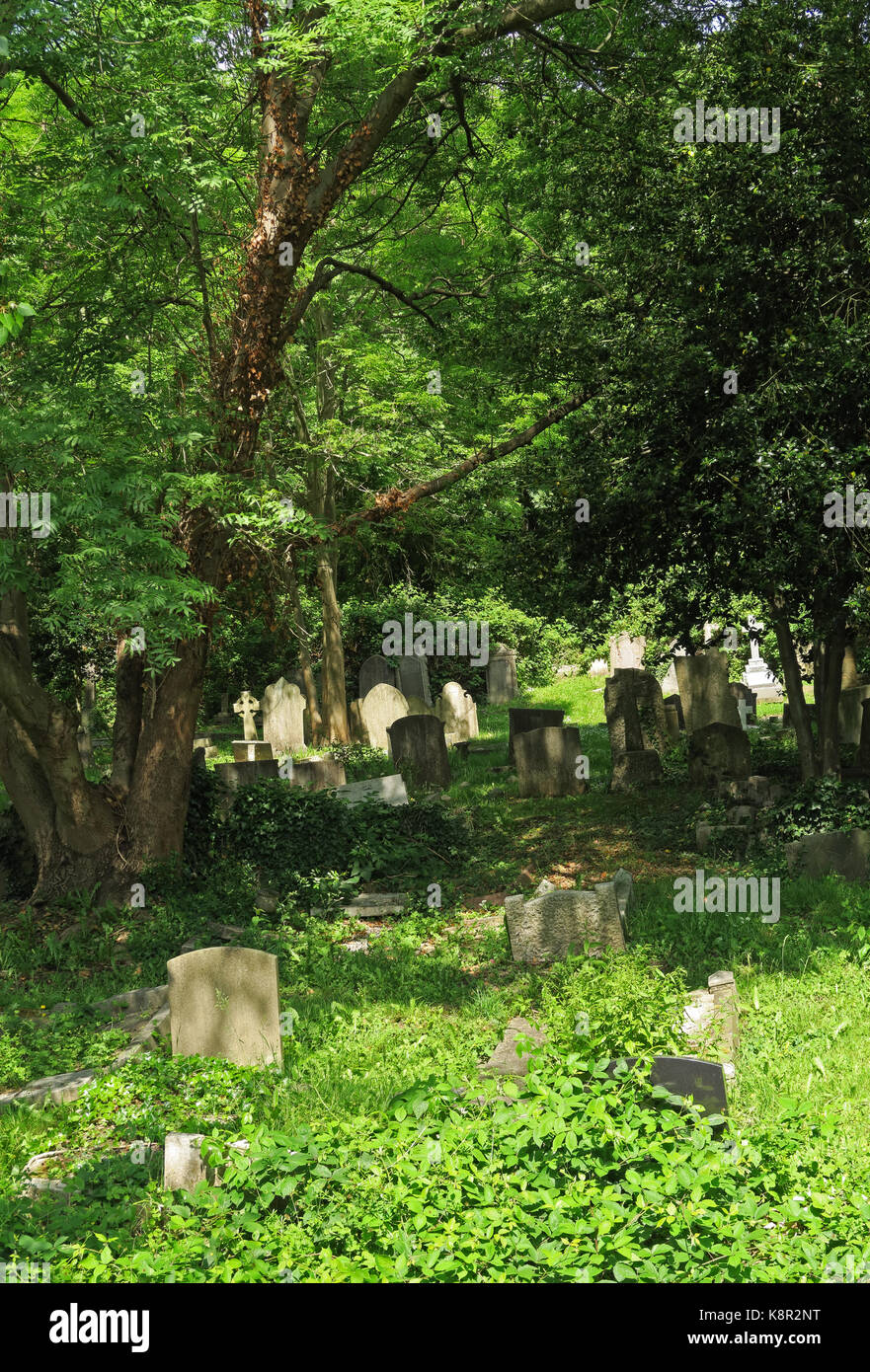 Blick auf ruhigen Teil von alten Friedhof Highgate Cemetery, Highgate, London Mai Stockfoto