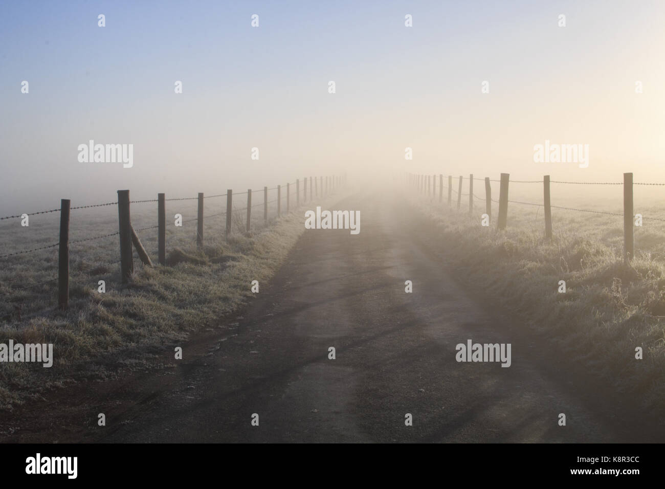 Am frühen Morgen mit Foggy frozen Landschaft in Abstand entlang eingezäunt Straße, Ringstead, Dorset, England, Großbritannien führenden, Januar Stockfoto
