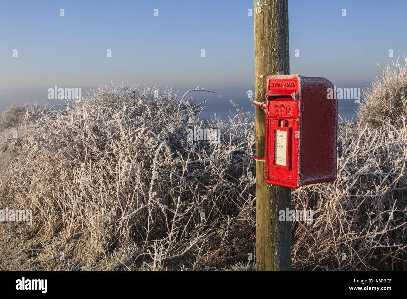 Red Royal Mail postbox zu den hölzernen Stange befestigt mit Milchglas Hecke, Ringstead, Dorset, England, UK, Januar Stockfoto