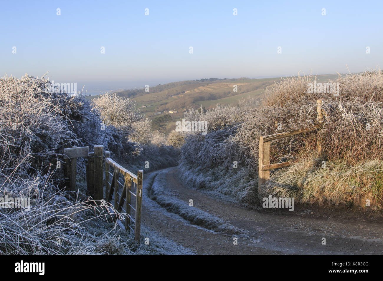 Farm Lane hinunter, um Felder mit Rauhreif bedeckt Vegetation, Ringstead, Dorset, England, UK, Januar Stockfoto