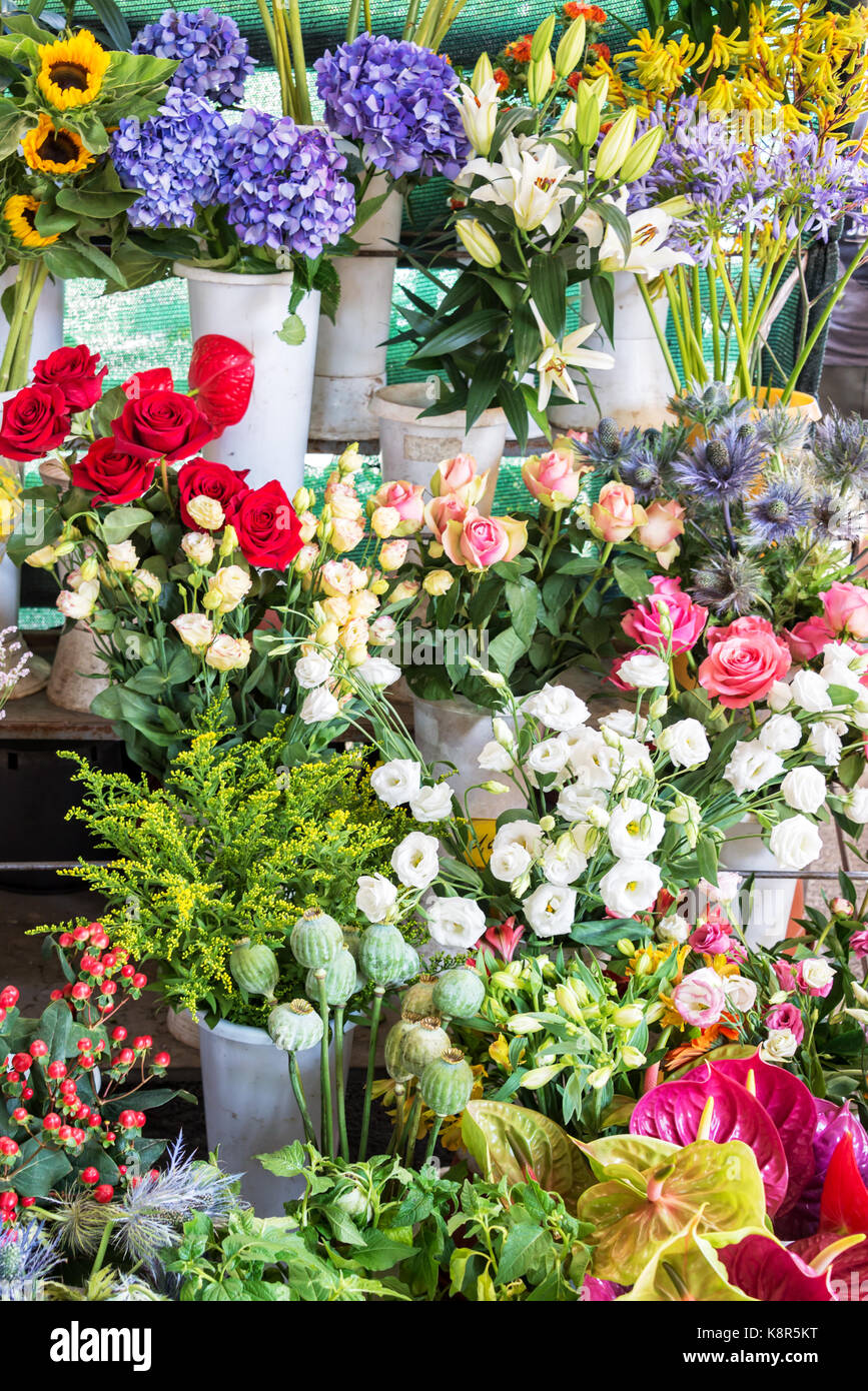 Hintergrund von bunten Blumen für den Verkauf in einem Markt Stockfoto
