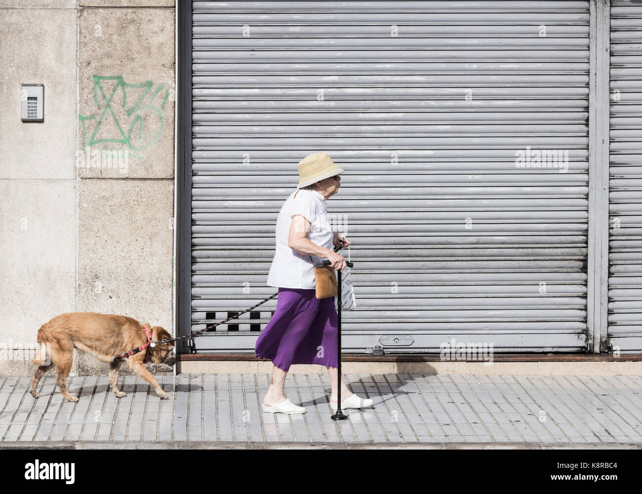 Ältere Frau, die einen alten Hund auf der Straße der Stadt macht Stockfoto