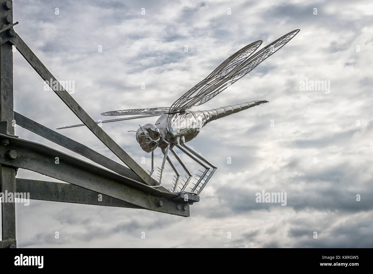 Dragonfly Skulptur auf dem Dragonfly Nature Trail, thursley Gemeinsame, Surrey, Großbritannien Stockfoto