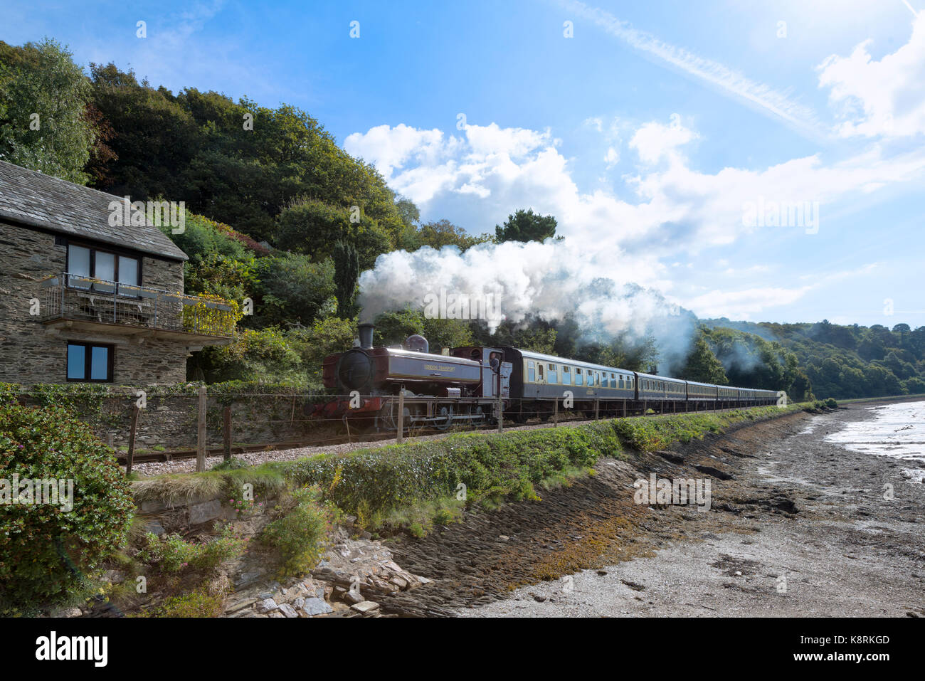 Dampfzug auf der höheren Fähre, Kingswear, Devon Stockfoto