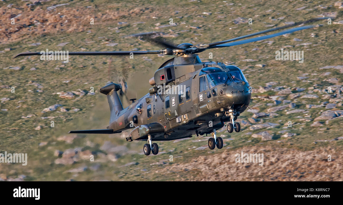 Königliche Marine Merlin Hubschrauber Stockfoto