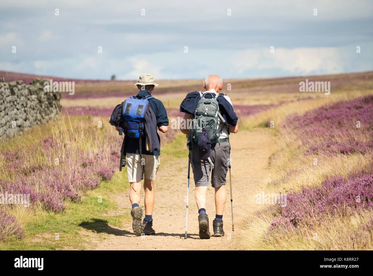 Reife männliche Wanderer auf dem Cleveland Way National Trail in die North York Moors National Park. North Yorkshire, England. UKg Stockfoto