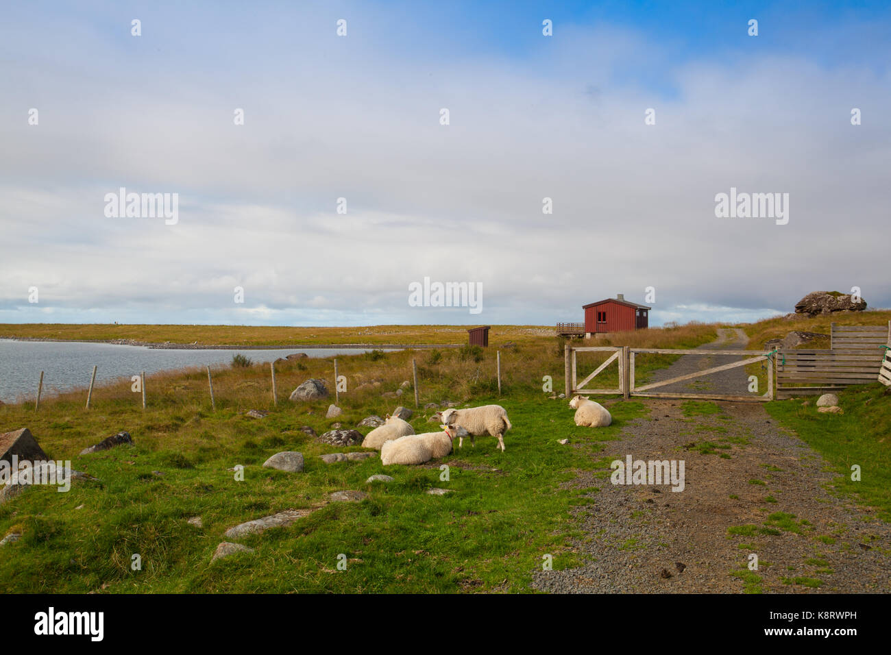 An der Küste in Eggum, Lofoten, Norwegen Stockfoto