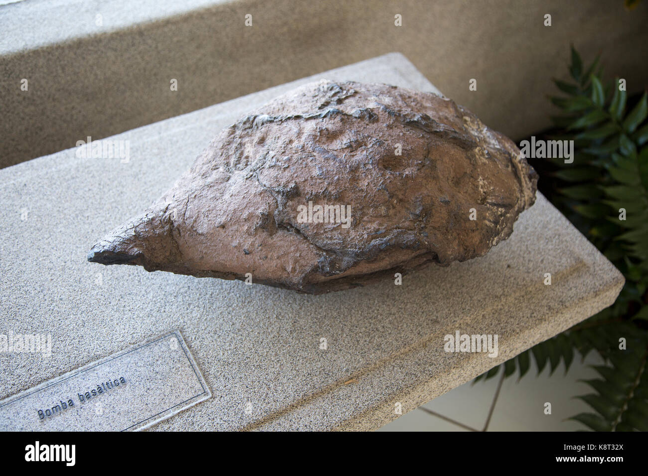 Vulkanische Bombe basalt Probe Geologie anzuzeigen, Casa de los Volcanes vulkanischen Study Centre, Lanzarote, Kanaren, Spanien Stockfoto