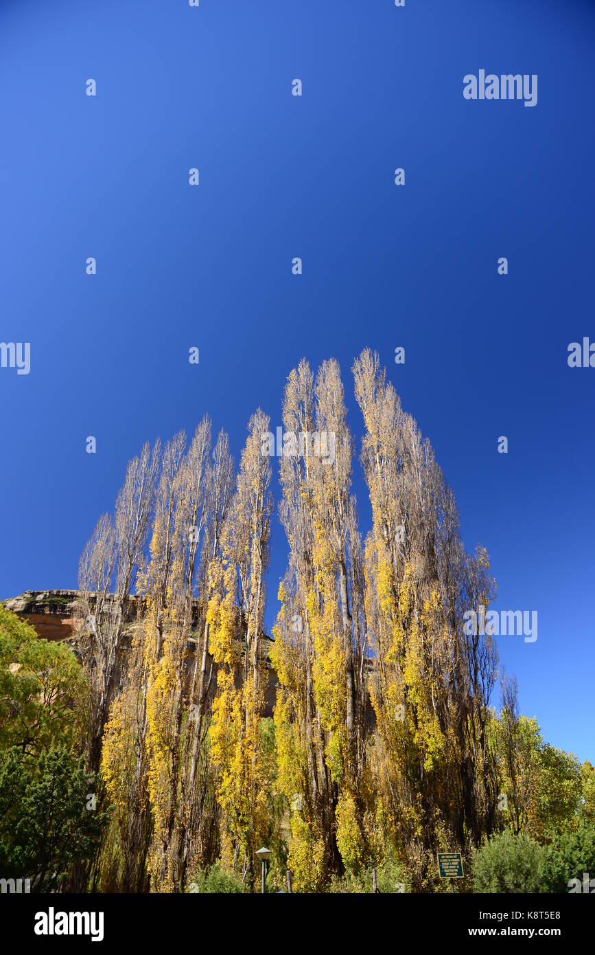 Südafrika Stockfoto