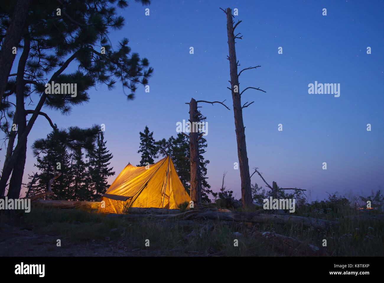 Allein Camping in den Black Hills von South Dakota. Dies wurde während das Wandern. Stockfoto