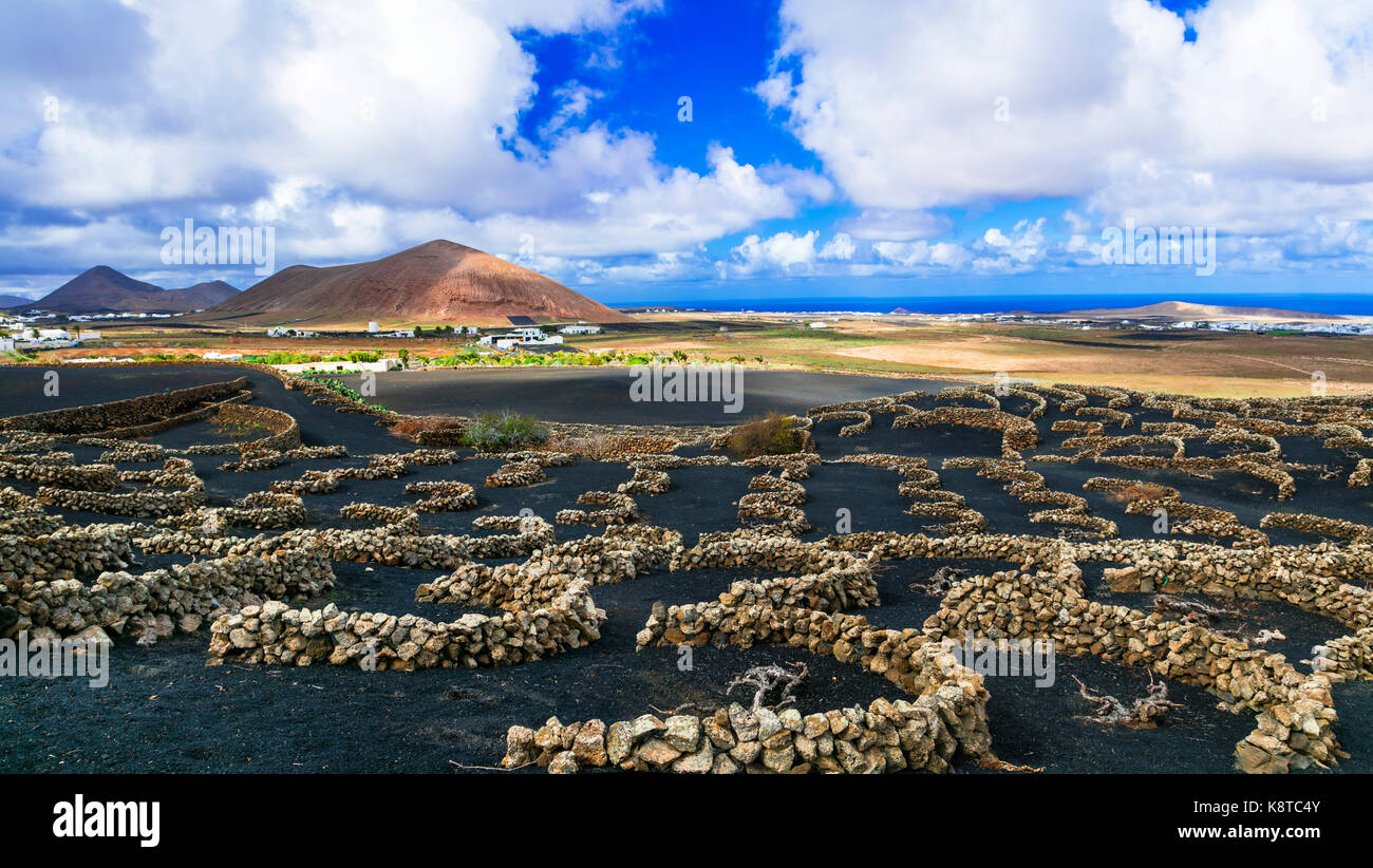 Einzigartige vulkanische Landschaft auf der Insel Lanzarote, Kanaren, Spanien. Stockfoto