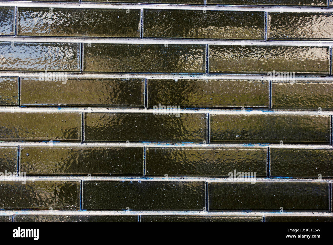 Glänzend grüne Mauer Stockfoto