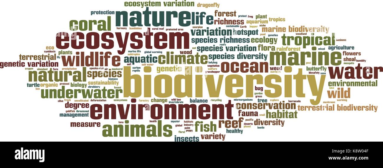 Wort Wolke Konzept der biologischen Vielfalt. Vector Illustration Stock Vektor