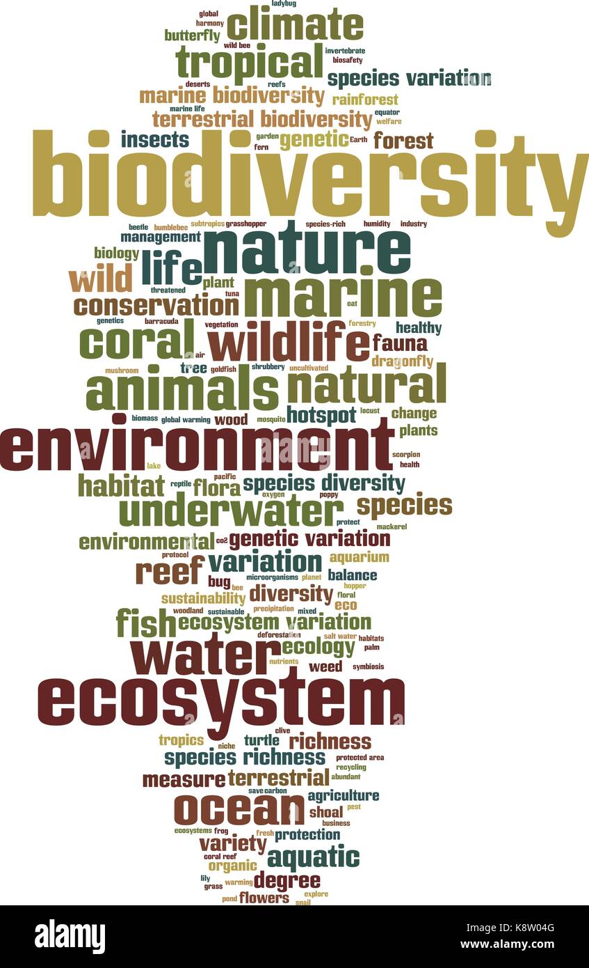 Wort Wolke Konzept der biologischen Vielfalt. Vector Illustration Stock Vektor