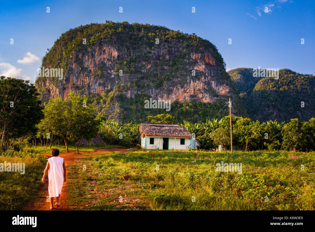 Eine lokale Frau zurück zu ihrem Bauernhof vor einem MOGOTES im Tal von Vinales, Kuba Stockfoto