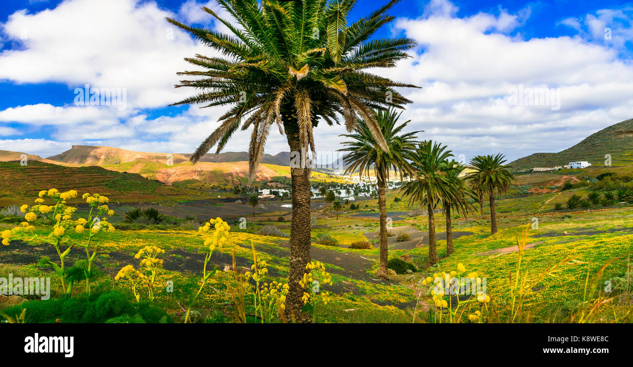 Beeindruckenden vulkanischen Landschaft der Insel Lanzarote, Kanaren, Spanien. Stockfoto