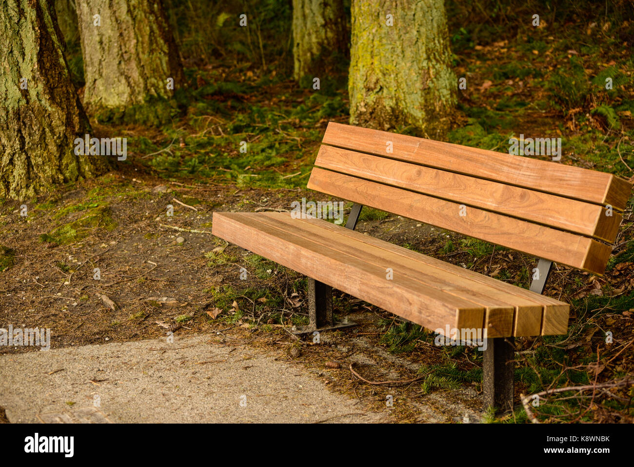 See Padden Werkbank - Gerade außerhalb von Bellingham, Washington, die nach Trost oder Spaß können Sie auf See Padden. Stockfoto
