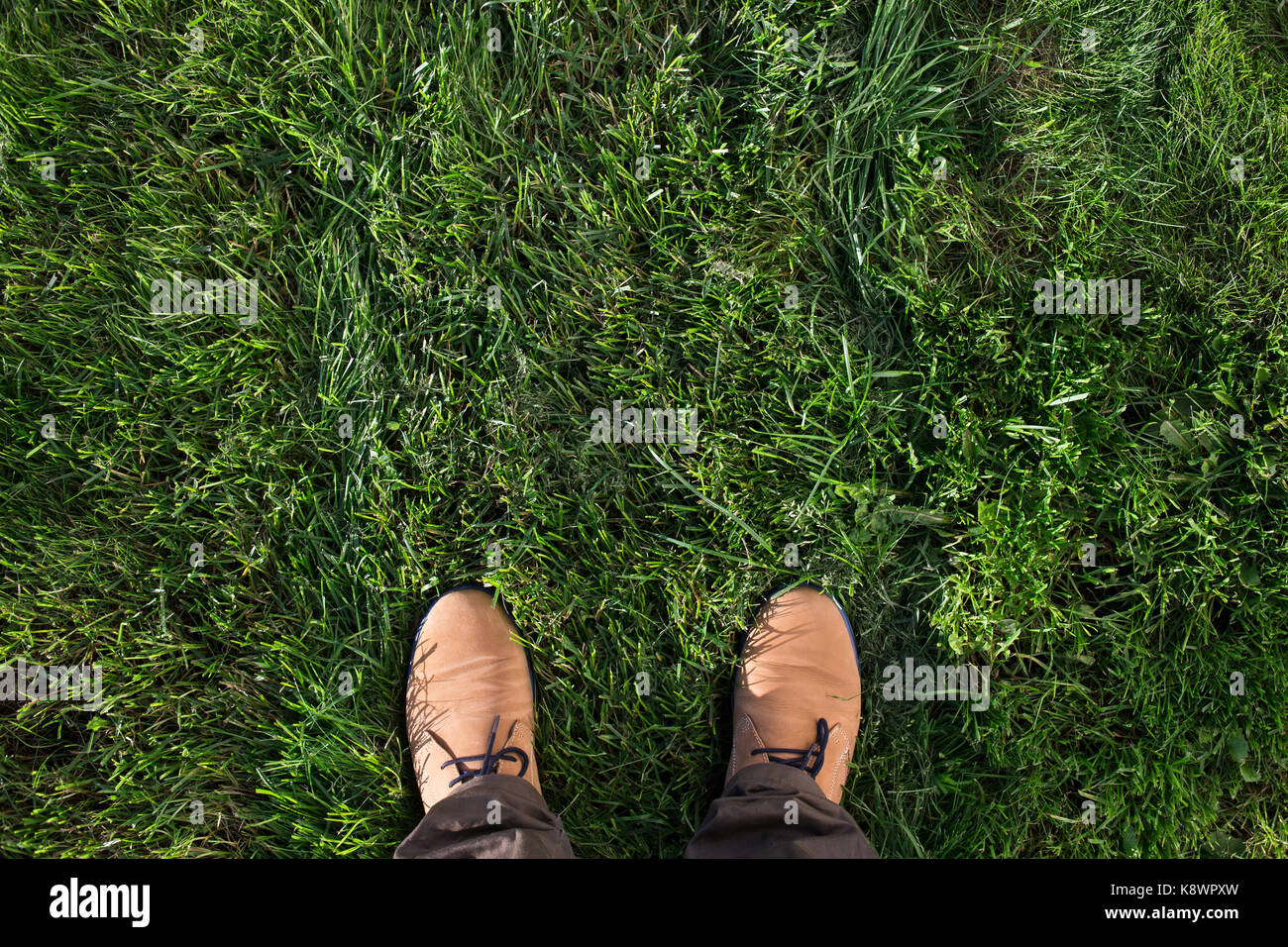 Beige Wildleder Stiefel auf grünem Gras. Ansicht von oben, flach Stockfoto