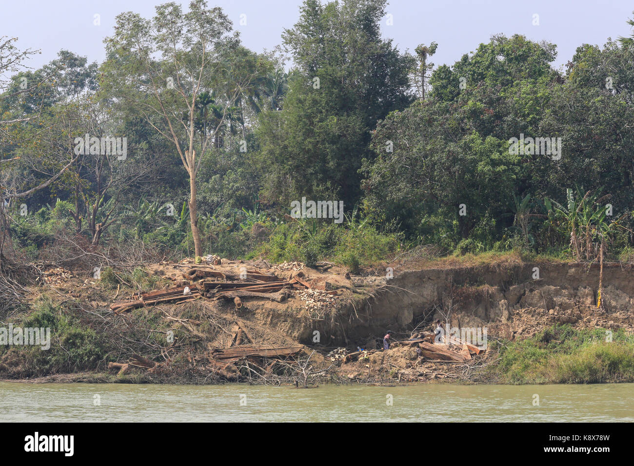 Arbeitnehmer sind Bäume in Kanthölzern mit einer Kettensäge an den Ufern des Irrawaddy Fluss in Myanmar (Burma). Stockfoto