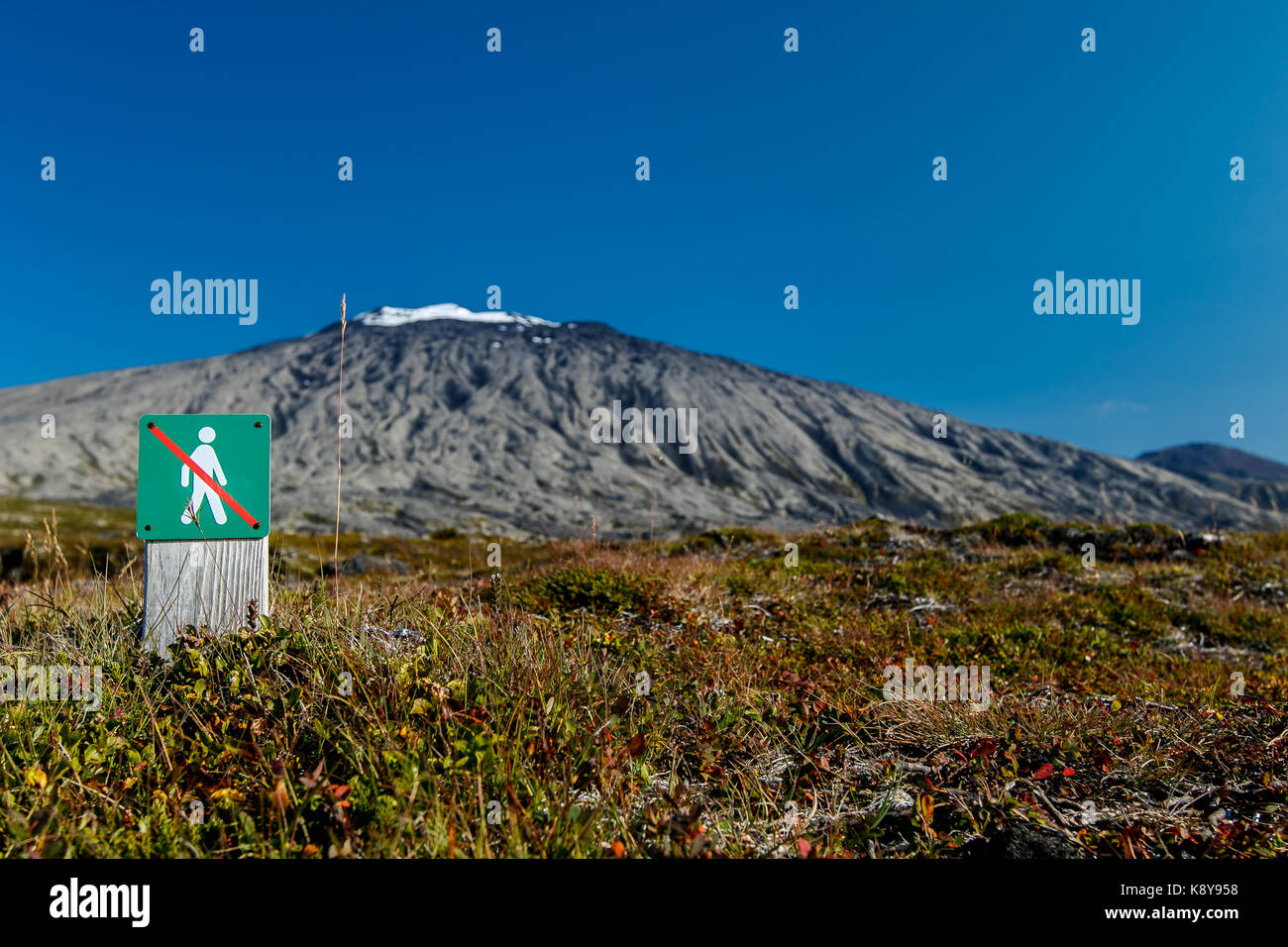 'No Walking' Zeichen an snaefellsjoekull Nationalpark in Island. Stockfoto